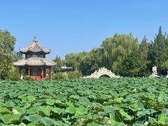 -莲池书院博物馆