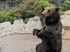 -云南野生动物园