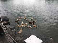 -上海怡沁园度假酒店