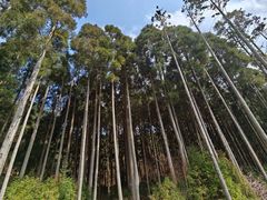 -明月山风景名胜区