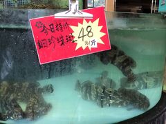 -东豪园林海鲜酒家(南港路辅路店)
