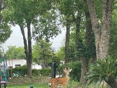 -不觉晓CAMPING(上海迪士尼营地店)