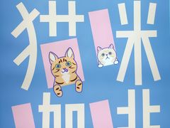 -飞行喵MR PILOT|猫舍·猫咖(静安大融城店)