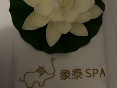 -象泰SPA·泰式按摩·足疗(卓悦中心店)