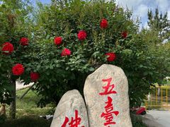 -五台山风景名胜区