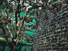 -昆明市金殿名胜区