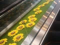 -招商银行(上海分行营业部)