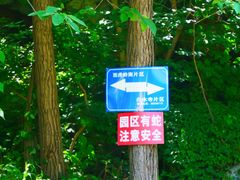 -白水寺森林公园