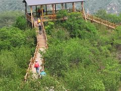 -大岭沟猕猴桃谷风景区