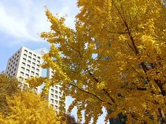 -长江路历史文化街区