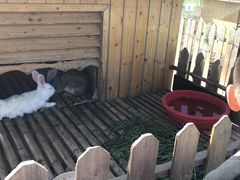 -上海崇明金茂凯悦酒店