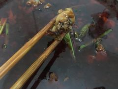 -温江公平红烧兔(总店)