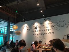 -MR鹅外