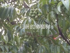 -山里饭店(贵安店)