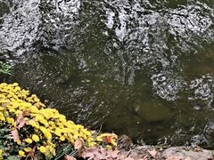-杭州植物园