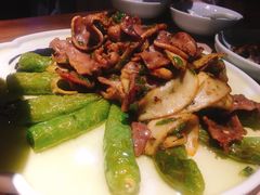 -猫头婴小酒馆FUN OWL(1912店)
