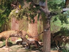 -重庆中国三峡博物馆(重庆博物馆)