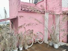 -霏梵印象公园摄影基地