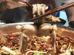 -味之绝热血美蛙鱼火锅(中坝店)