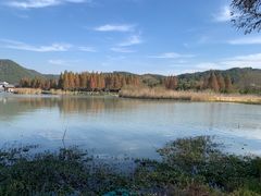 -东钱湖旅游度假区