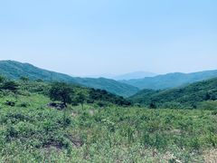 -阳台山自然风景区
