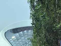 -哈尔滨大剧院