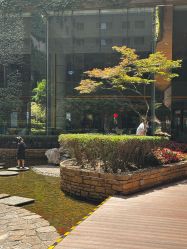 -玩元素·家庭游乐成长中心(香格里拉店)