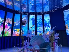 -上海海昌海洋公园