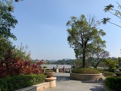 -美的鹭湖森林度假区