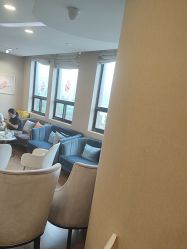 -海豚湾高端月子会所(黄浦店)