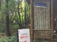 -兰亭风景区
