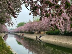 -元大都城垣遗址公园