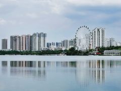 -飞来湖湿地公园