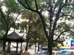 -古荡新村东区