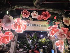 -正佳雨林生态植物园