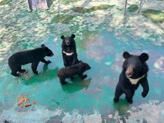 -西安秦岭野生动物园