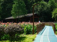 -重庆彩云湖湿地公园