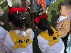 -金宝贝早教(荟聚中心)