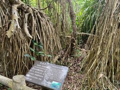 -海口火山口国家地质公园