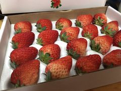 -六伴夏烘焙蛋糕·低糖动物奶油