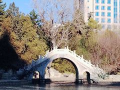 -团结湖公园