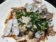 -新白鹿餐厅(百联中环店)