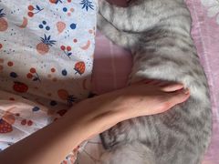 -沈阳铁西万象汇