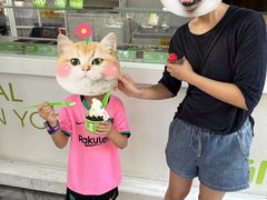 -Salud撒露欧洲冻酸奶(798艺术区店)