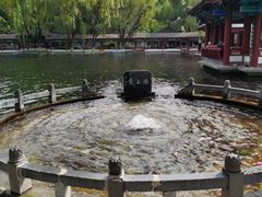 -百脉泉景区