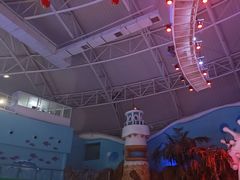 -烟台海昌鲸鲨海洋公园