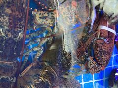 -日照大牌檔•小船海鲜(万平口店)