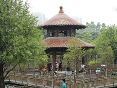-五缘湾湿地公园