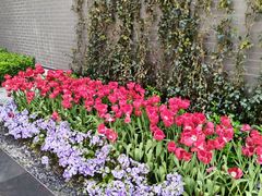 -写庭·鱼鲜川菜·宴请(铁像寺水街店)
