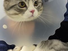 -达爱动物医院·犬猫分区·CT·复杂眼科(远洋山水分院)